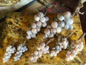Grappes de raisin en albâtre de différentes tailles ( Italie XX ème )